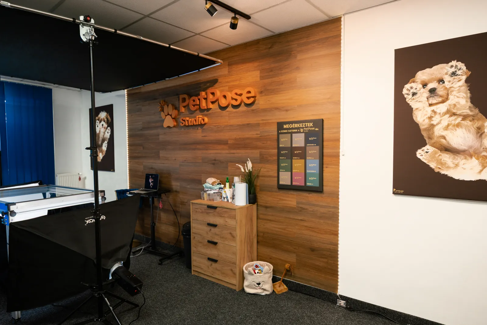 PetPose fotóstúdió belső tere — 7. kép: stúdió-részlet a kisállat fotózáshoz, Budapest