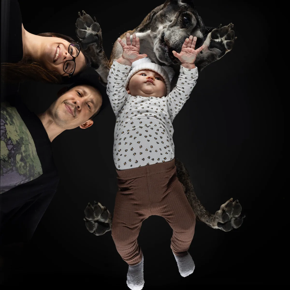 Alulnézetes kisállat fotó üveglapon át — PetPose Studio, Budapest