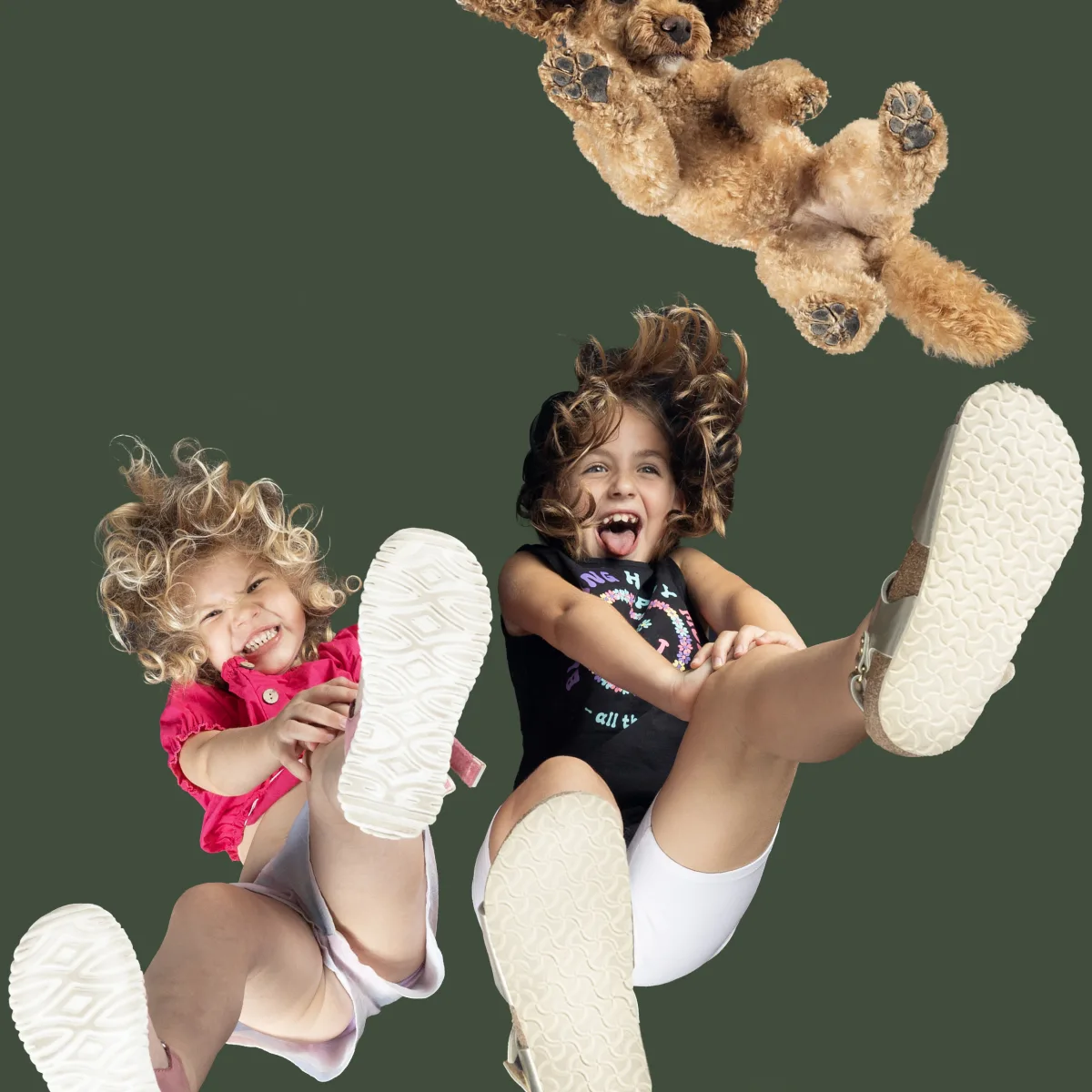 Alulnézetes kisállat fotó üveglapon át — PetPose Studio, Budapest