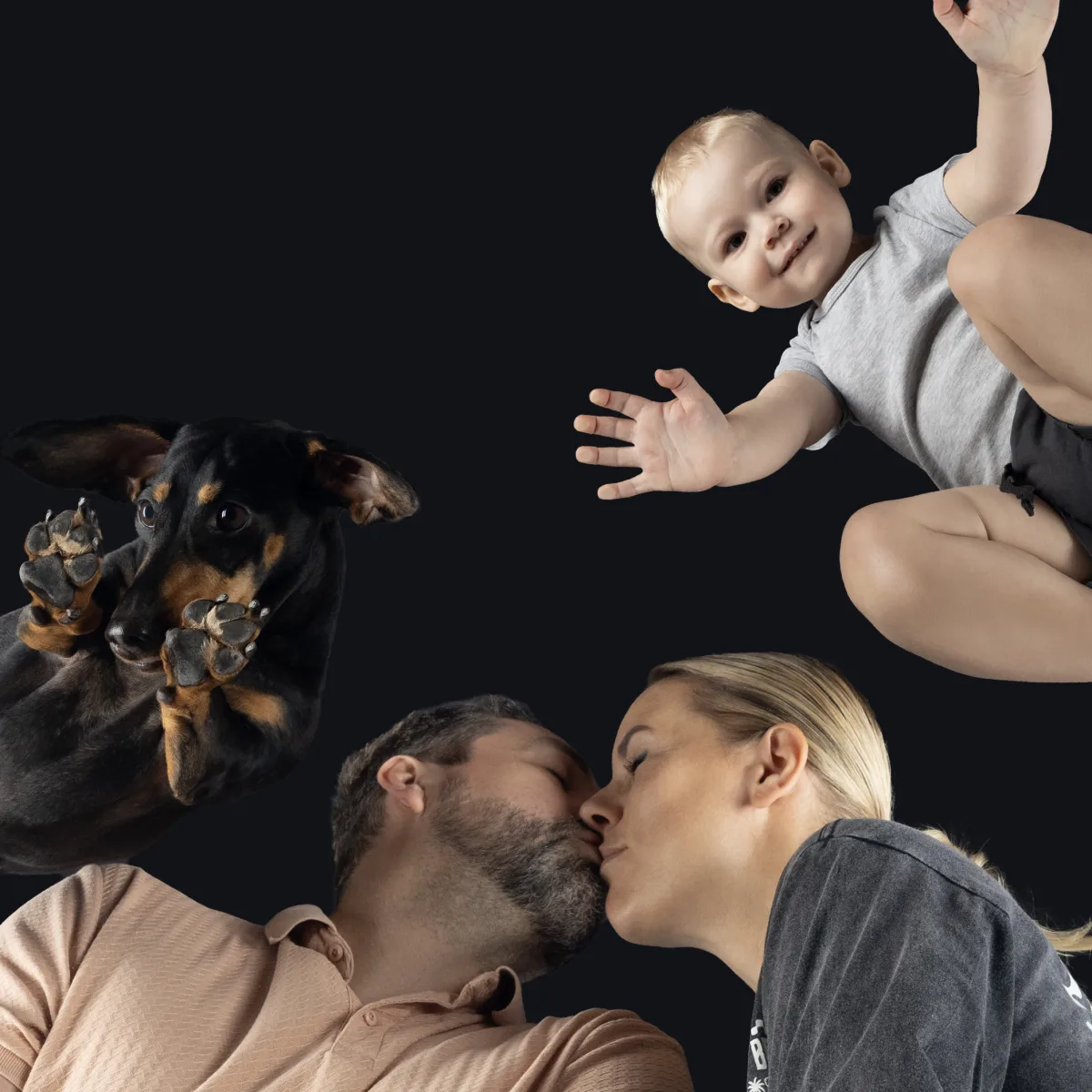 Alulnézetes kisállat fotó üveglapon át — PetPose Studio, Budapest