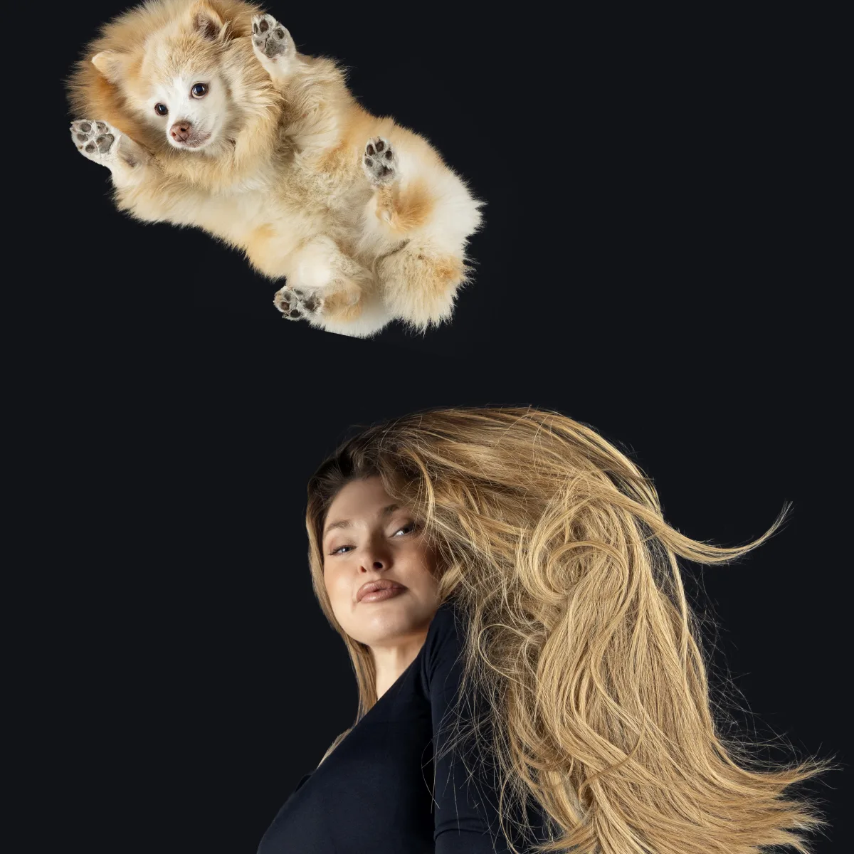 Alulnézetes kisállat fotó üveglapon át — PetPose Studio, Budapest
