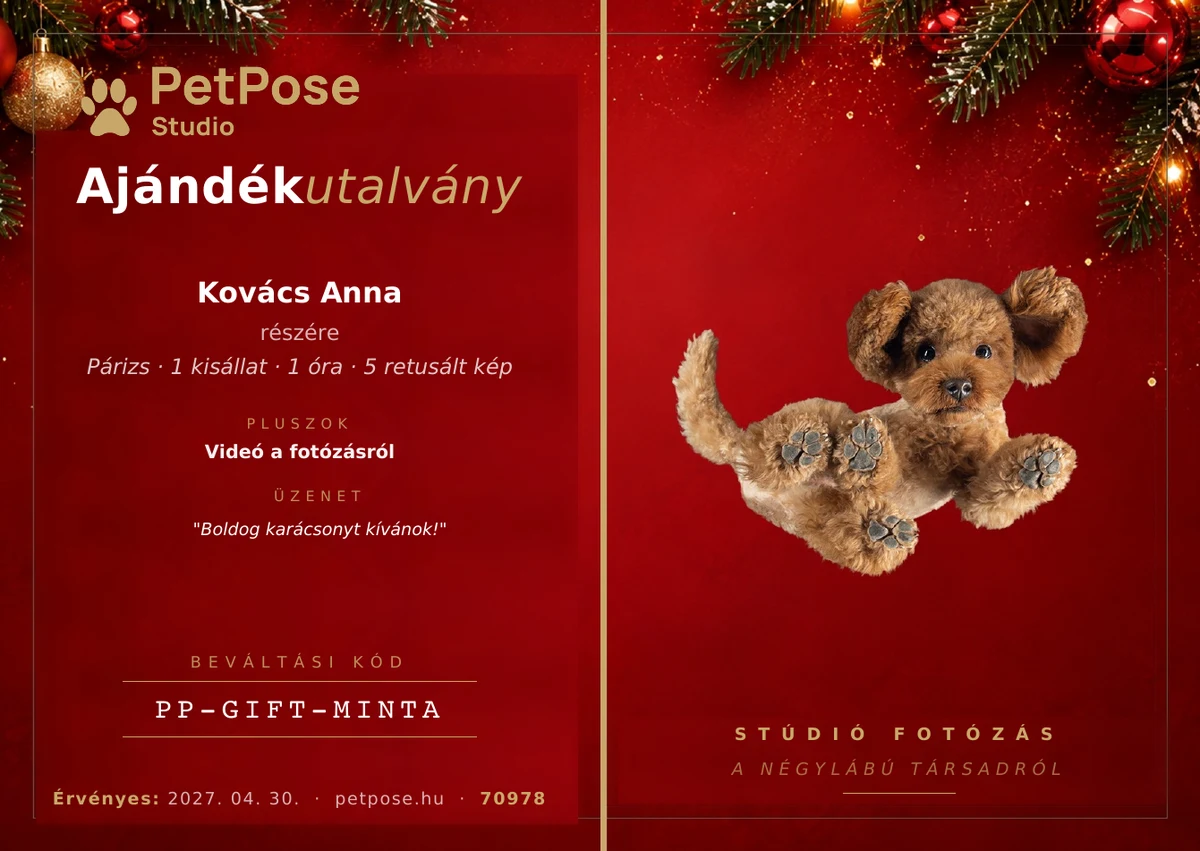 PetPose Studio ajándékutalvány — Karácsonyi design